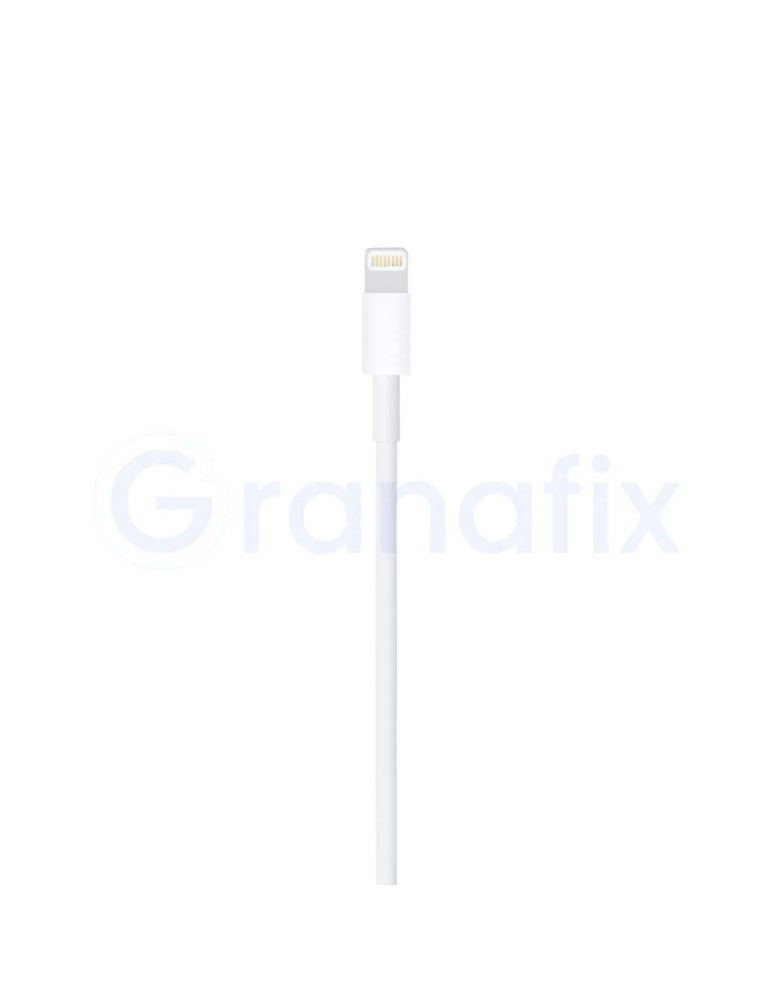 Apple Cable de carga conector Lightning a USB (1 m)