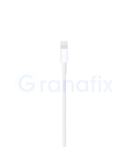 Apple Cable de carga conector Lightning a USB (1 m)