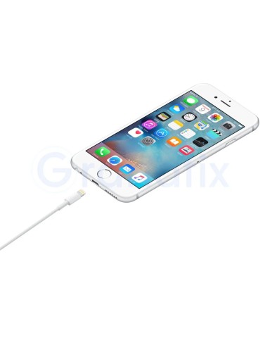 Apple Cable de carga conector Lightning a USB (1 m) 2