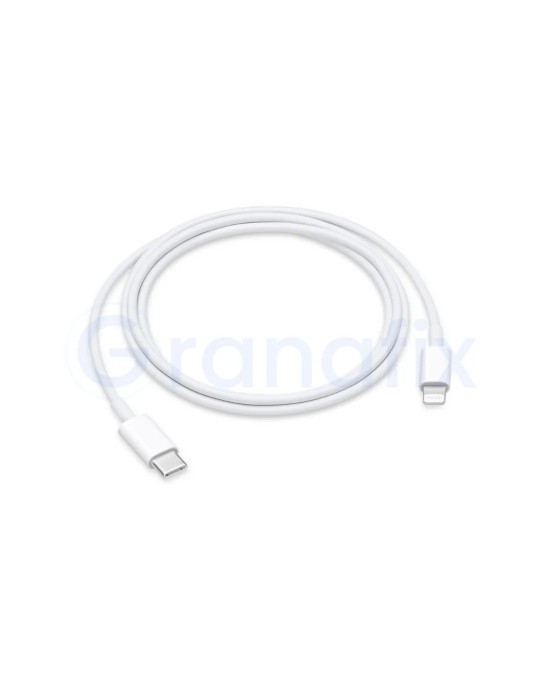 Apple Cable de carga USB-C a conector Lightning (1 m)