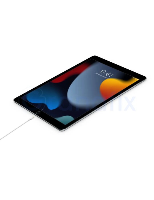 Apple Cable de carga USB-C a conector Lightning (1 m)