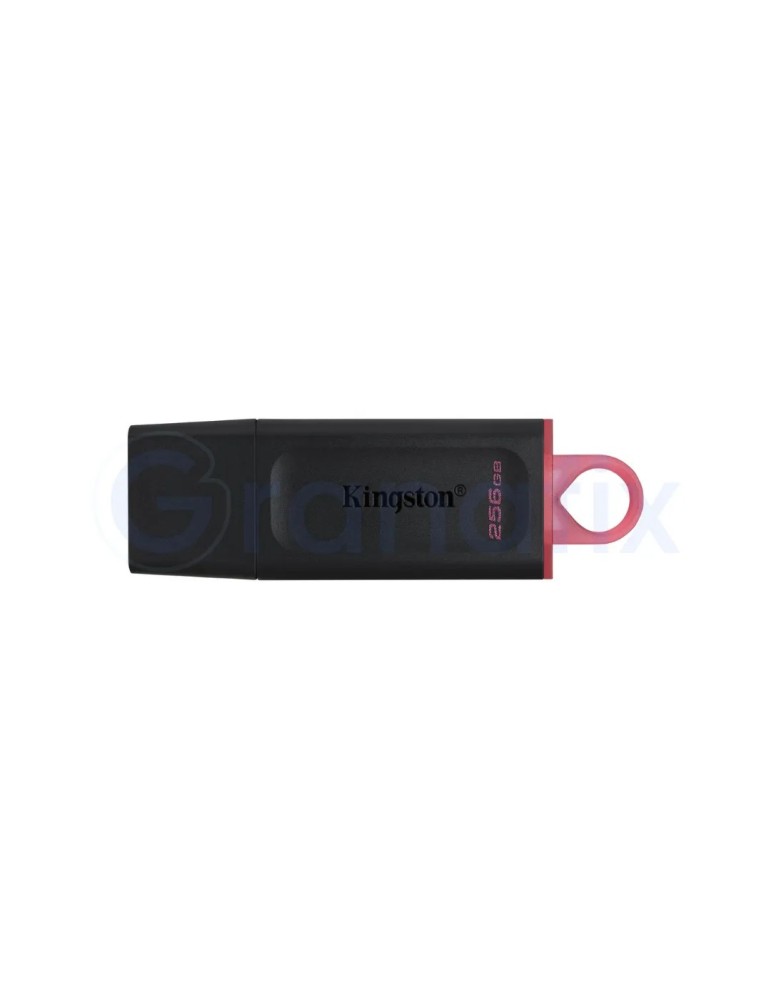 Pen Drive 256 GB Kingston USB 3.2 DataTraveler EXODIA