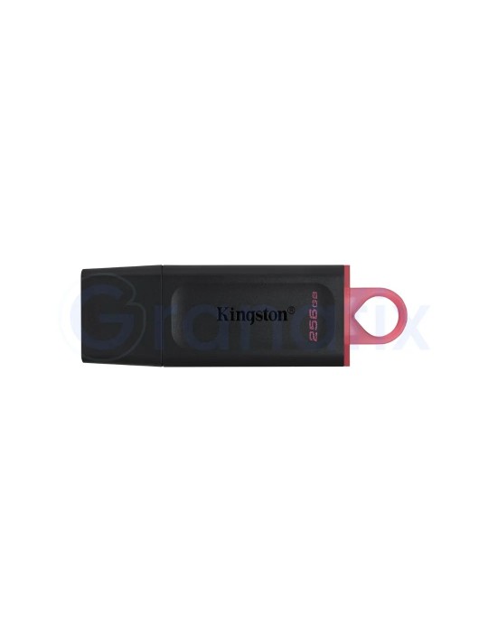Pen Drive 256 GB Kingston USB 3.2 DataTraveler EXODIA