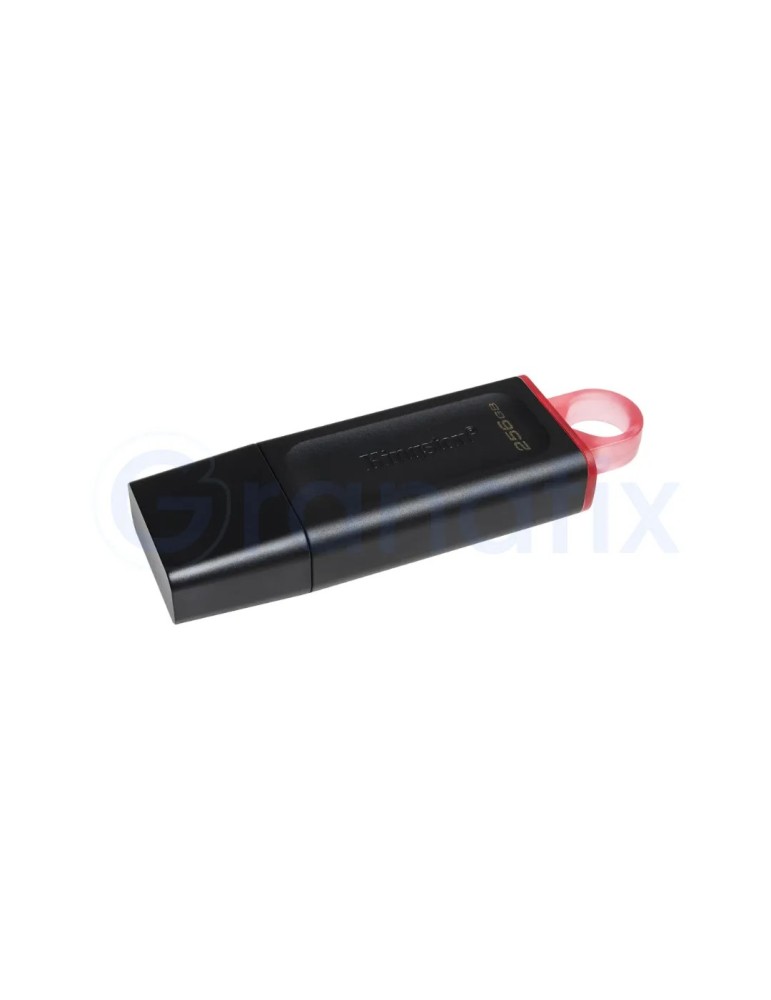 Pen Drive 256 GB Kingston USB 3.2 DataTraveler EXODIA